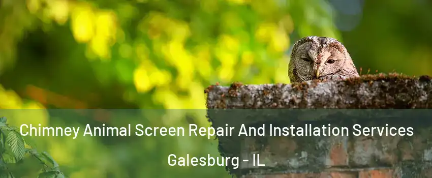  Chimney Animal Screen Repair And Installation Services Galesburg - IL
