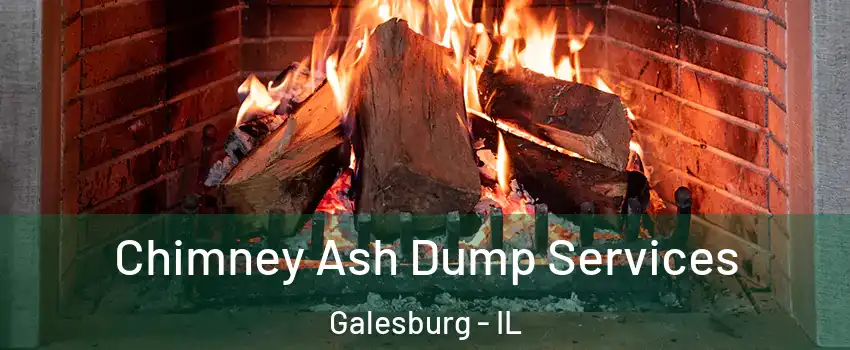  Chimney Ash Dump Services Galesburg - IL