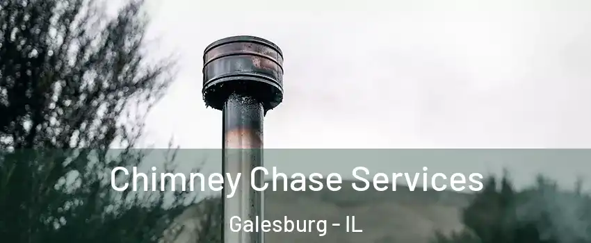  Chimney Chase Services Galesburg - IL