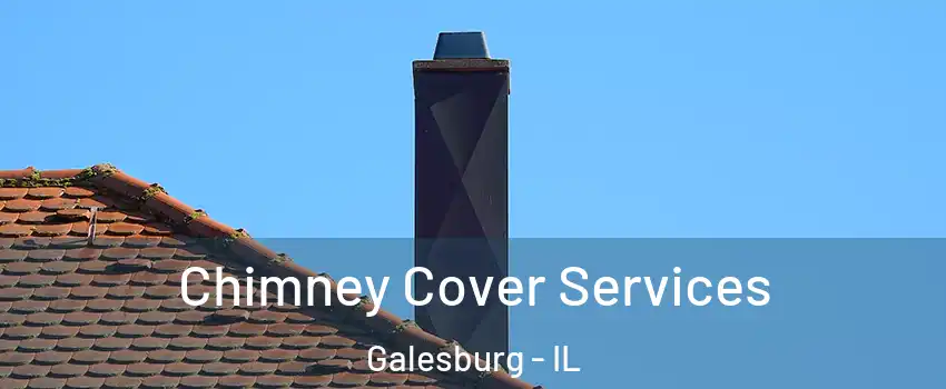  Chimney Cover Services Galesburg - IL