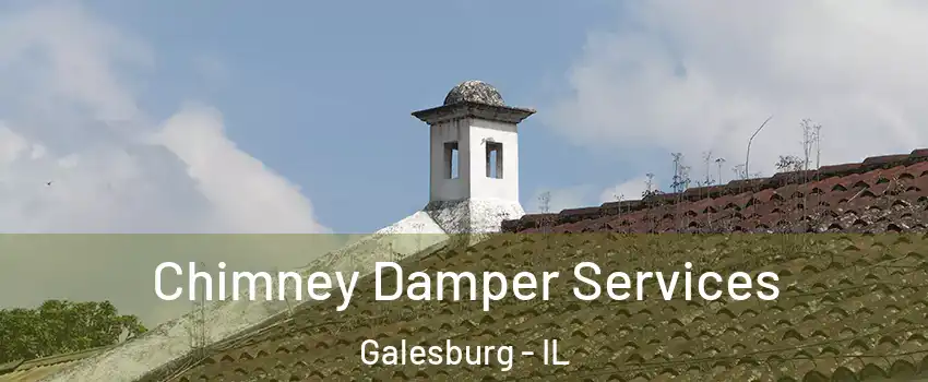  Chimney Damper Services Galesburg - IL