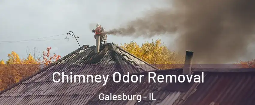  Chimney Odor Removal Galesburg - IL