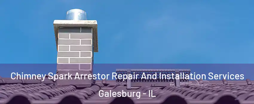  Chimney Spark Arrestor Repair And Installation Services Galesburg - IL