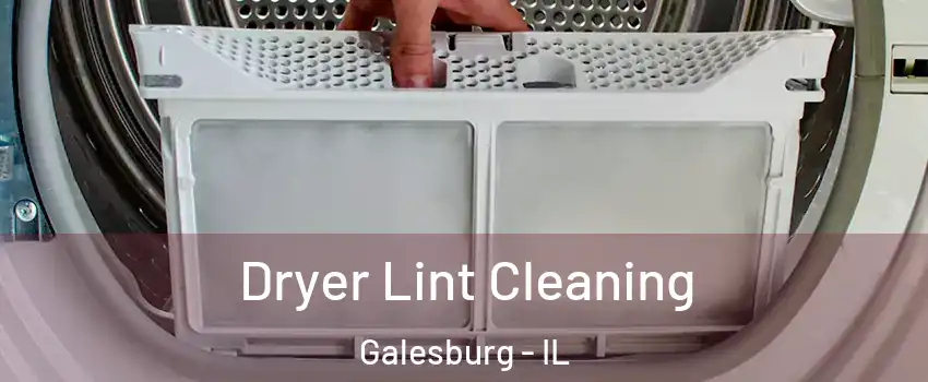  Dryer Lint Cleaning Galesburg - IL