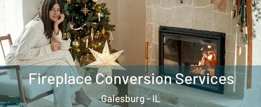  Fireplace Conversion Services Galesburg - IL