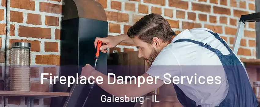  Fireplace Damper Services Galesburg - IL
