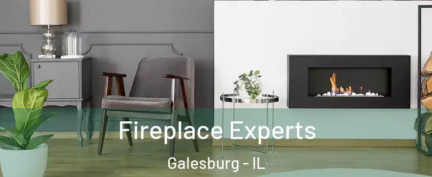  Fireplace Experts Galesburg - IL