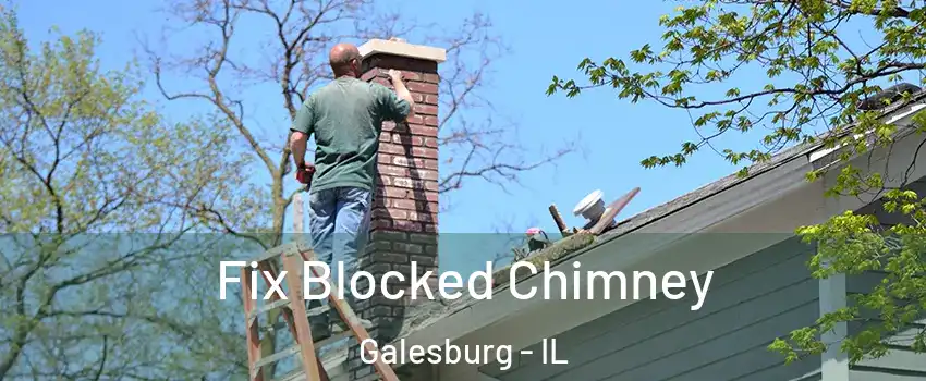  Fix Blocked Chimney Galesburg - IL