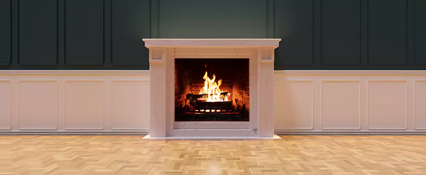 Napoleon Electric Fireplaces Inspection Service in Galesburg, Illinois