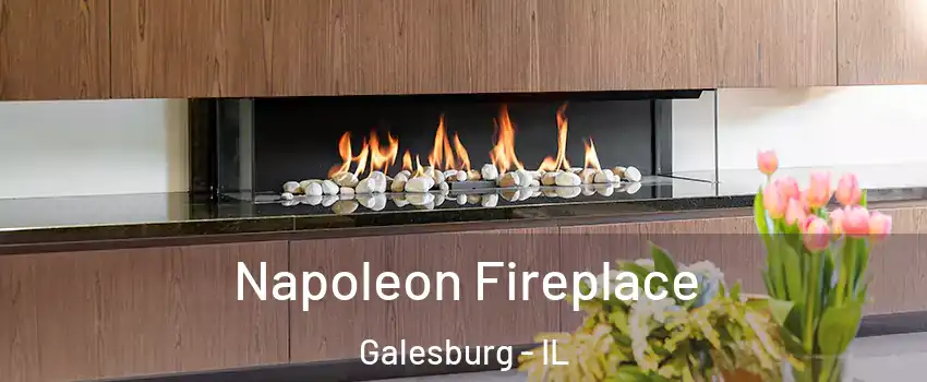  Napoleon Fireplace Galesburg - IL