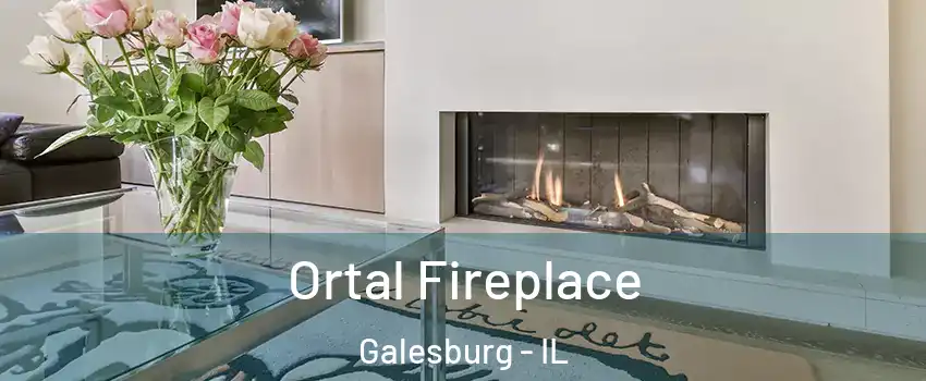  Ortal Fireplace Galesburg - IL