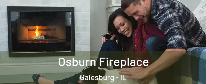  Osburn Fireplace Galesburg - IL